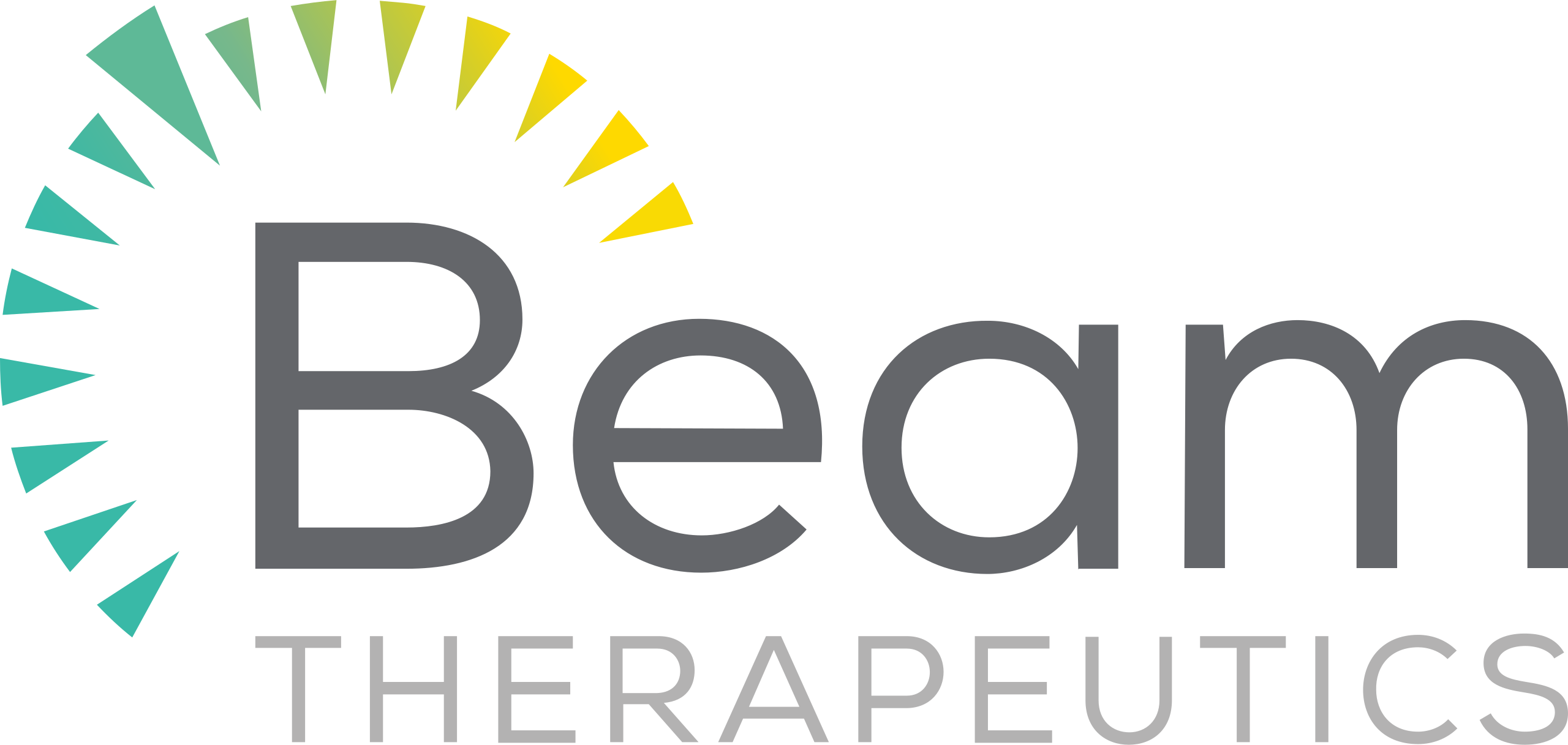 Beam Therapeutics
